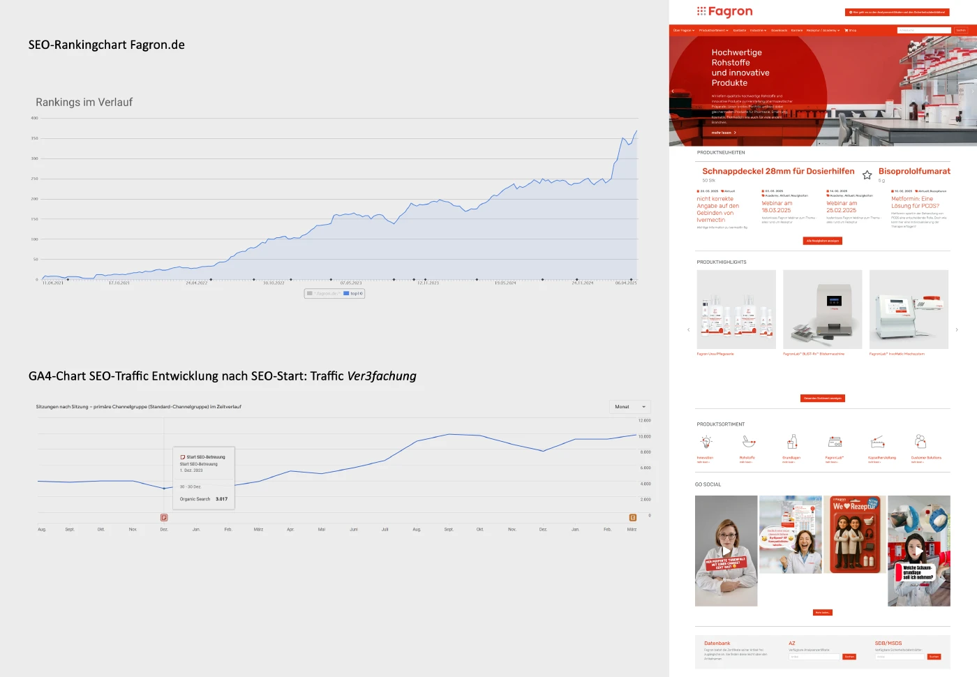 Fagron · SEO Ranking stark verbessert